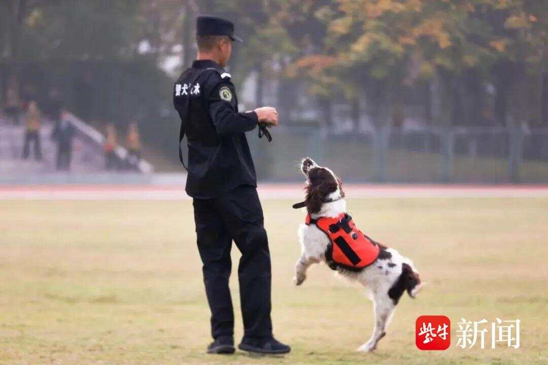 第一次知道警犬技術專業會發小狗