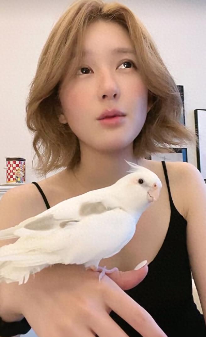 趙露思被甜品店合伙人背刺起訴