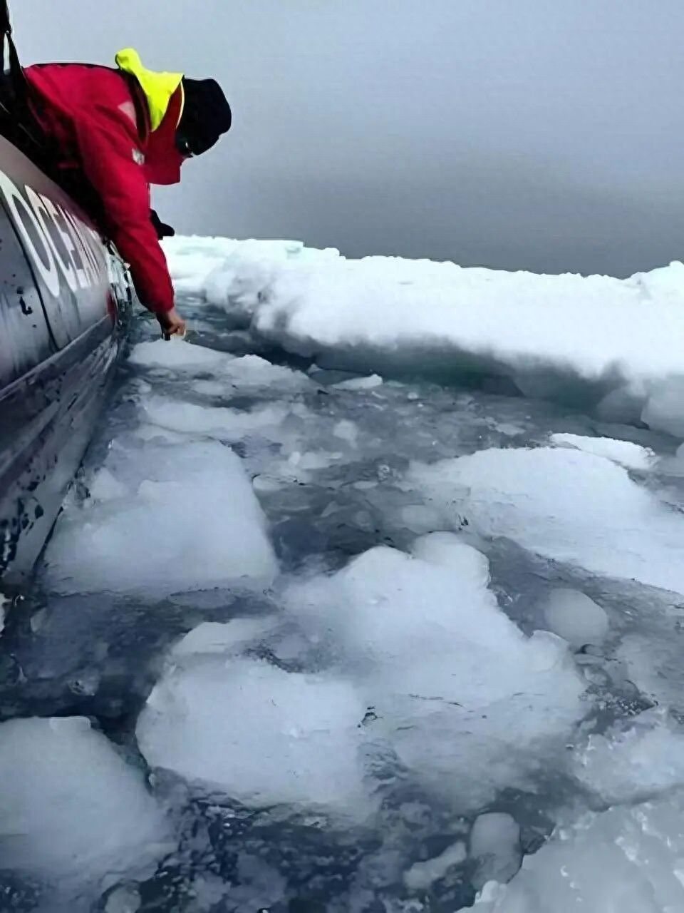 南極旅游價格大跳水,“從20萬跌至5萬”引熱議,多家旅行社回應