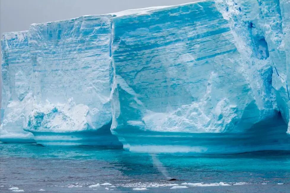 南極旅游價格大跳水,“從20萬跌至5萬”引熱議,多家旅行社回應