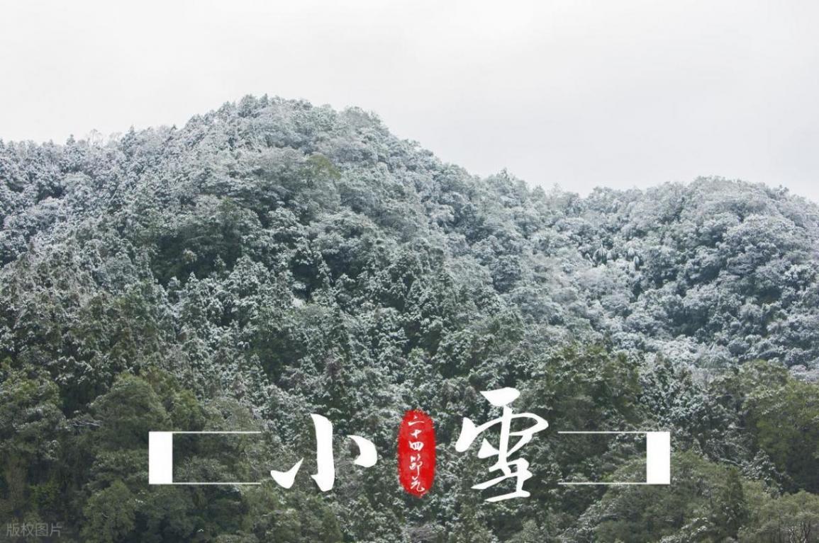 2025乙巳年 小雪:小雪至,冬始俏,人間煙火藏詩(shī)意