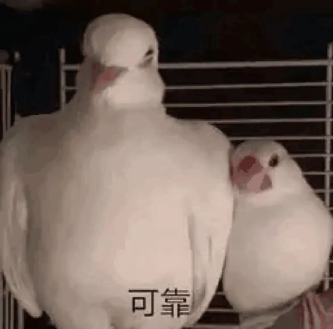 10樣超實(shí)用的打工人續(xù)命神器!買回來就被要了800次鏈接!